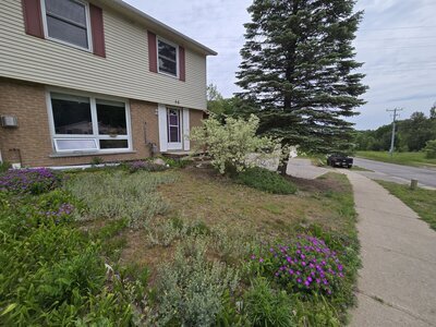 Display Image for 64 Pearson Dr